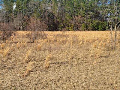 0 Old Sandy Run Road, Gaston, SC 29053