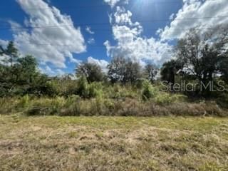 1928 Vesper Court, Lehigh Acres, FL 33972 Photo