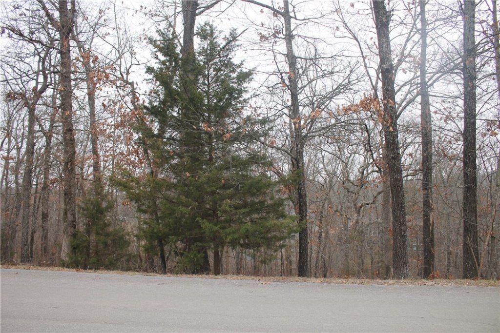 Tbd Dunsford Drive, Bella Vista, AR 72715 Main Photo