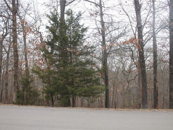 TBD Dunsford Drive, Bella Vista, AR 72715