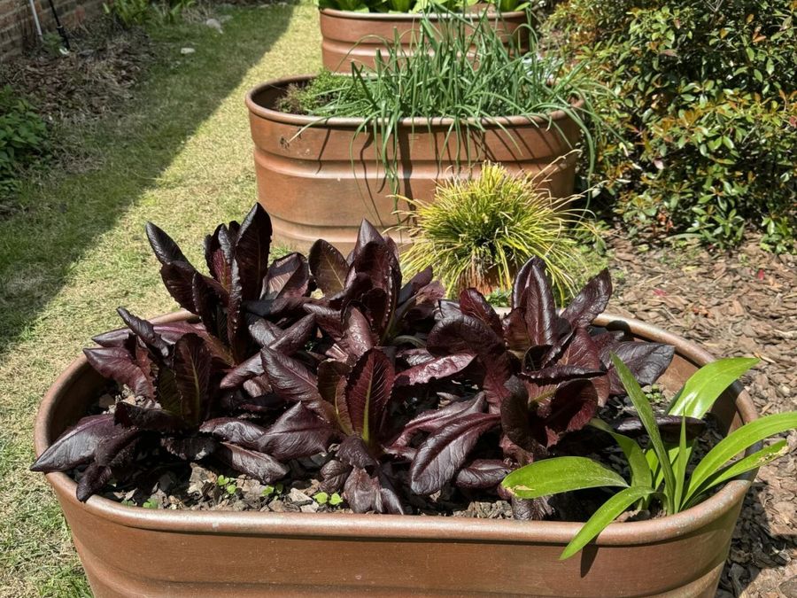 Property Image 48