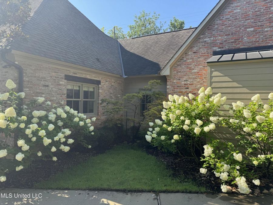 Property Image 61