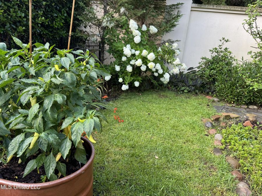 Property Image 62