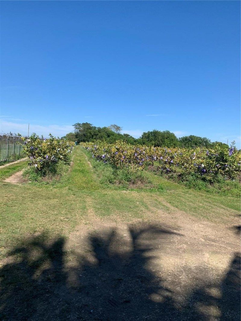 0 Tbd, Homestead, FL 33030 Photo