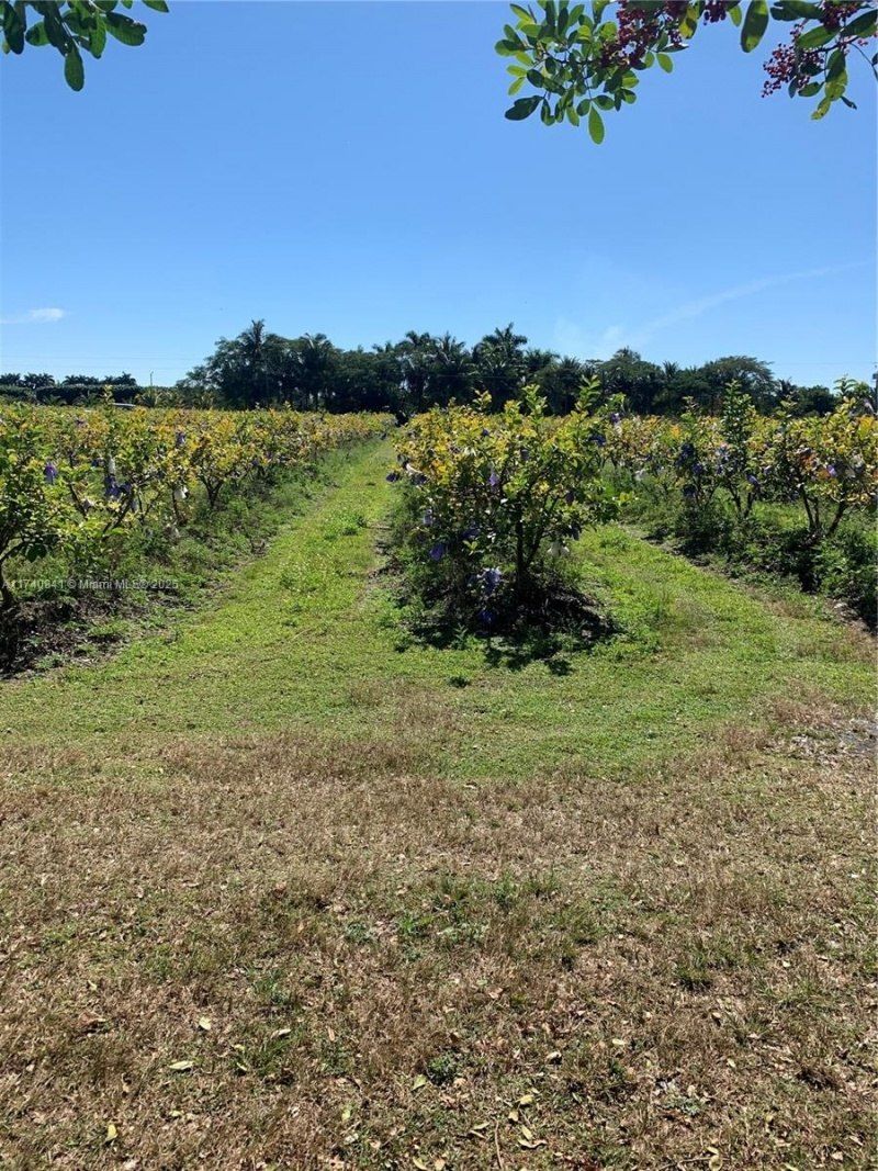 0 Tbd, Homestead, FL 33030 Photo