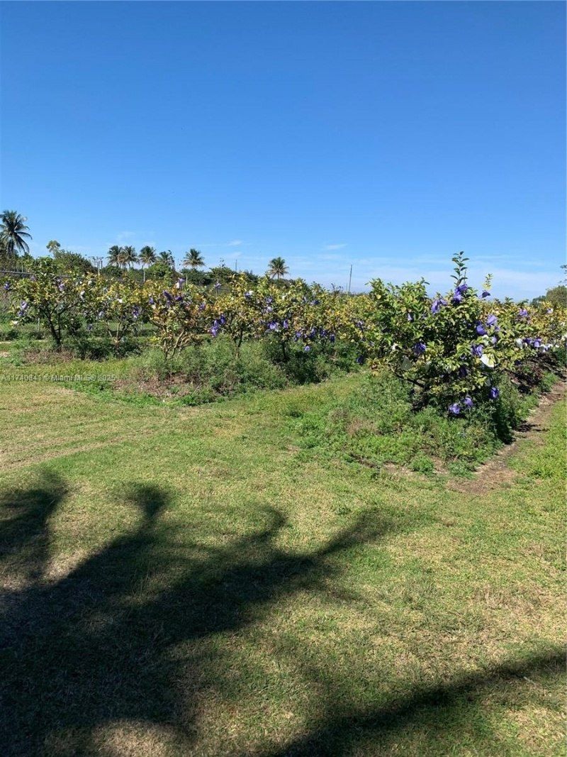 0 Tbd, Homestead, FL 33030 Photo