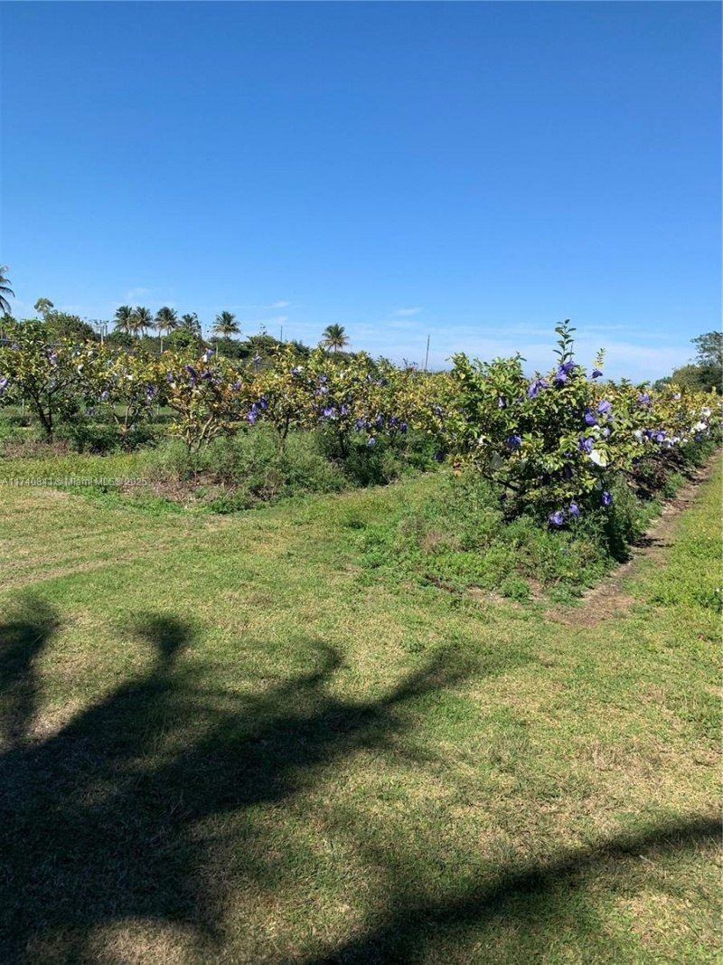 0 Tbd, Homestead, FL 33030 Photo