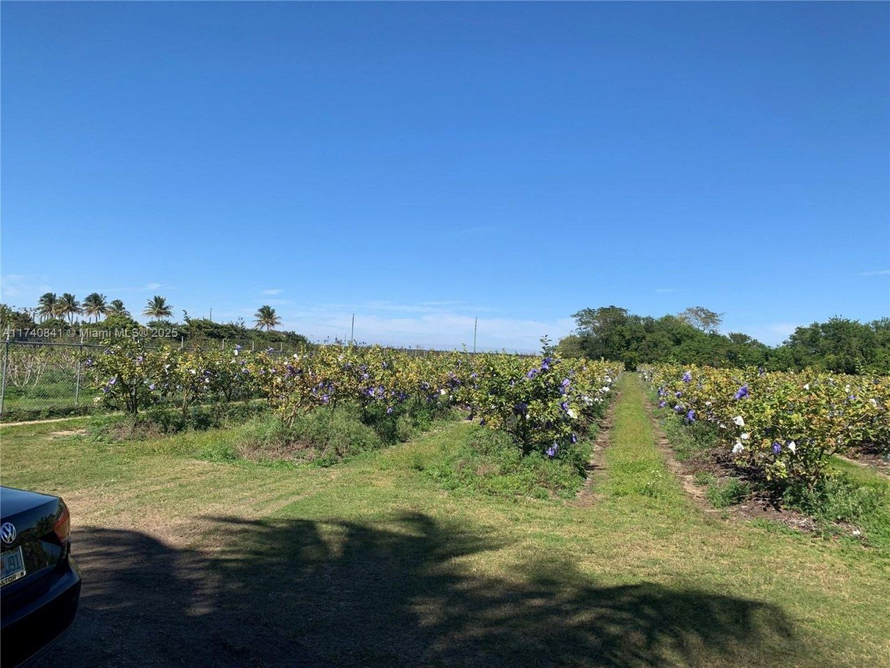 0 Tbd, Homestead, FL 33030 Photo