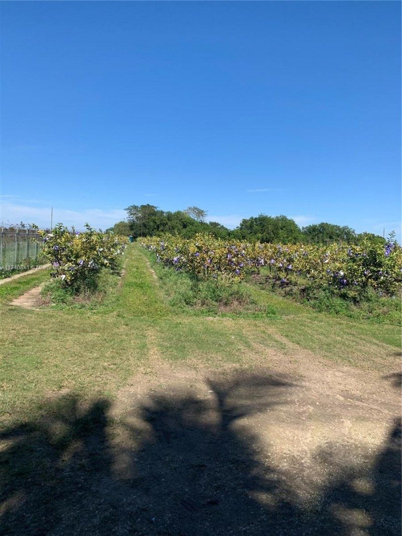 0 Tbd, Homestead, FL 33030 Photo