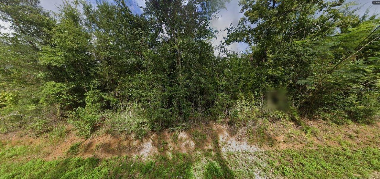 Leland Rd, Marianna, FL 32448 Photo
