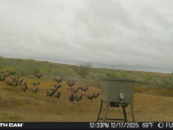 00 S COUNTY ROAD 153, Kenedy, TX 78119