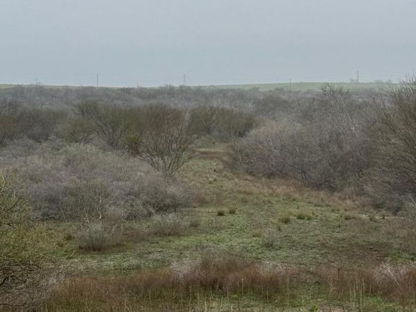 00 S COUNTY ROAD 153, Kenedy, TX 78119