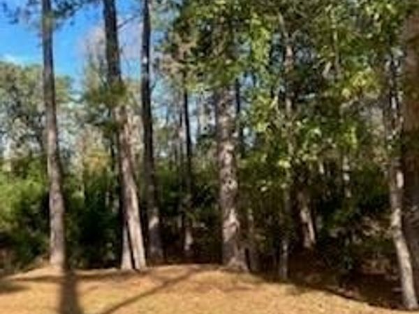 Lot 7 KATE Street, Hammond, LA 70401