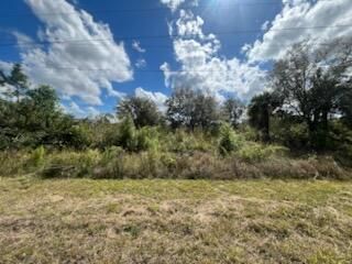 1928 Vesper Court, Lehigh Acres, FL 33972 Photo
