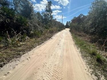 DEER CROSSING ROAD, ALTOONA, FL 32702