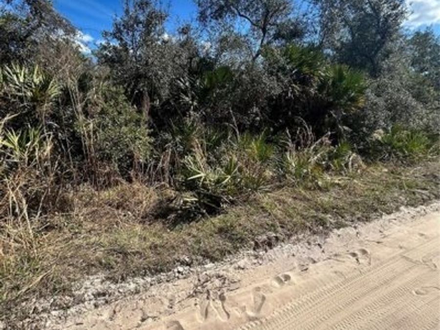 Property Image 5
