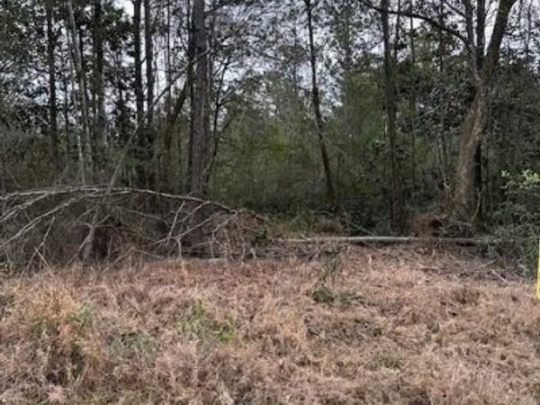 0 Salco Road, Axis, AL 36505