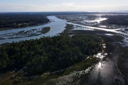 244 Sam Doyle Drive photo 4