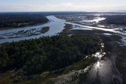 244 Sam Doyle Road photo 4