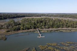 244 Sam Doyle Drive photo 4