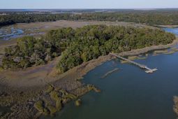 244 Sam Doyle Drive photo 4