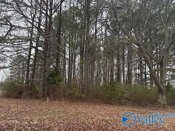 LOT 1 South Road, Athens, AL 35613