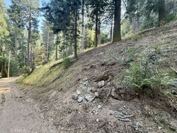 0 Burnt Mill Canyon Road, Cedarpines Park, CA 92322