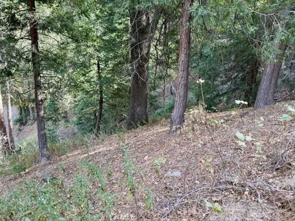 0 Burnt Mill Canyon Road, Cedarpines Park, CA 92322