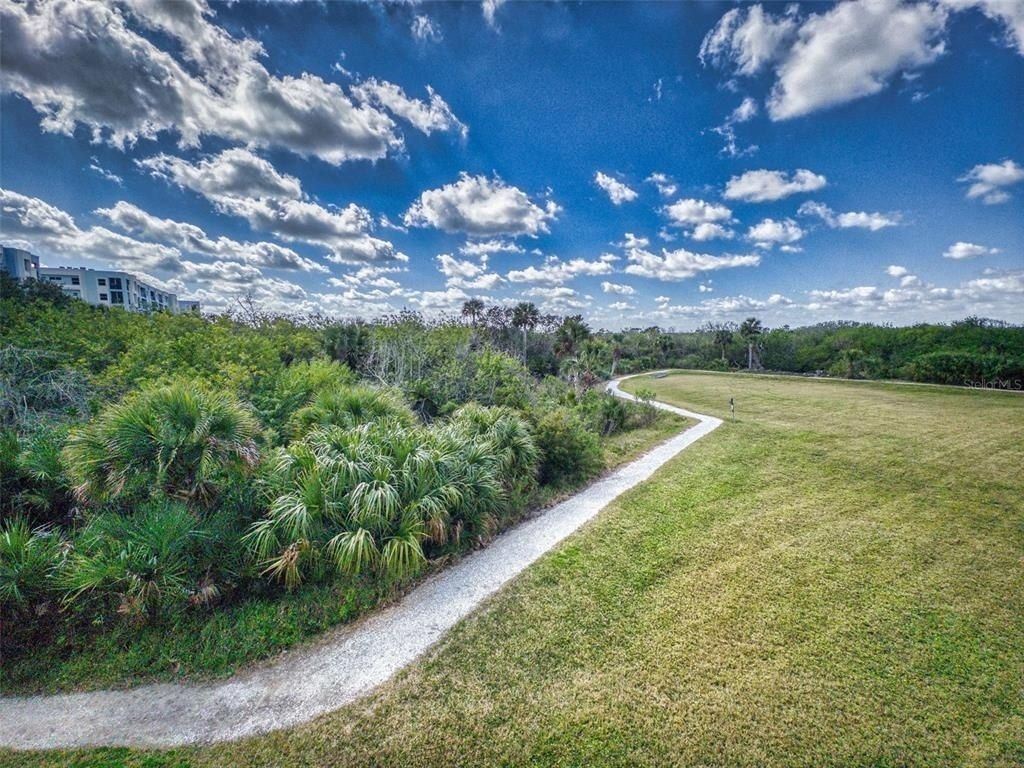 5300 S Atlantic Avenue, Unit 6-206, New Smyrna Beach, FL 32169 Photo