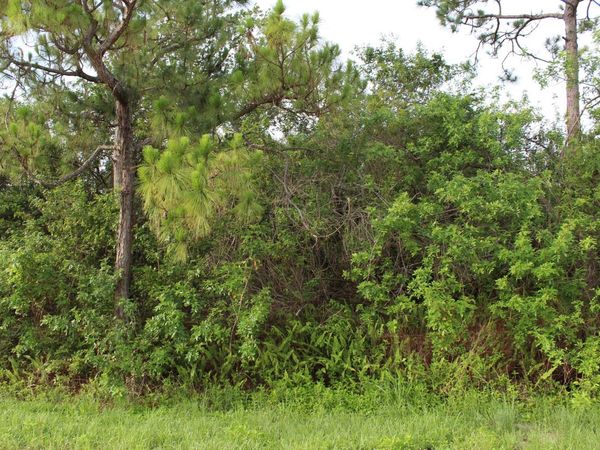 ''17992'' 94th Street N, Loxahatchee, FL 33470