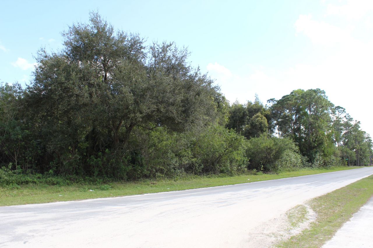 ''17992'' 94th Street N, Loxahatchee, FL 33470 Photo