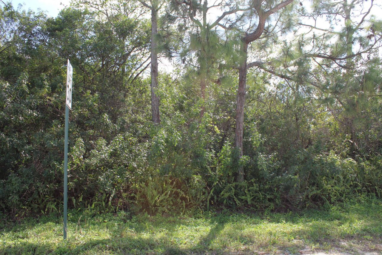 ''17992'' 94th Street N, Loxahatchee, FL 33470 Photo