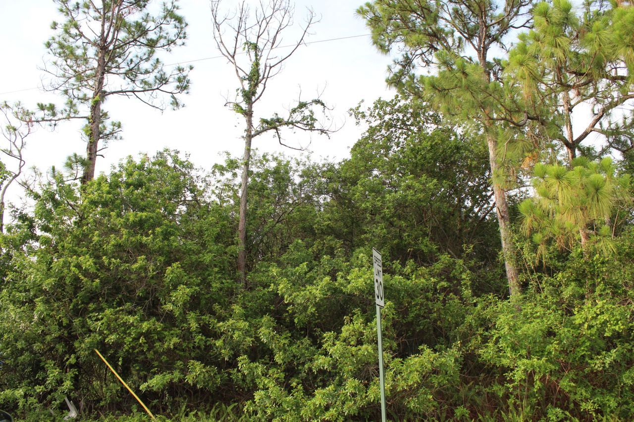 ''17992'' 94th Street N, Loxahatchee, FL 33470 Photo