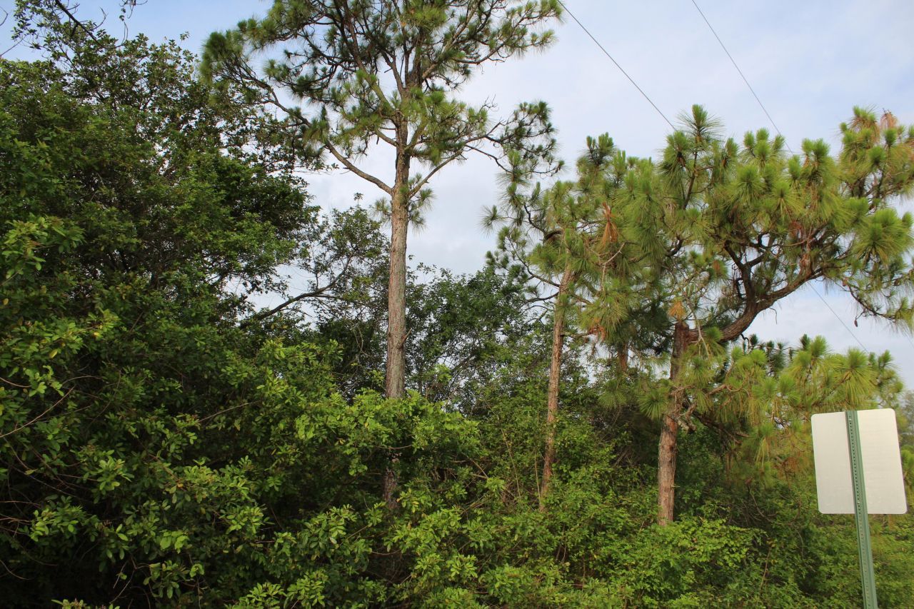 ''17992'' 94th Street N, Loxahatchee, FL 33470 Photo