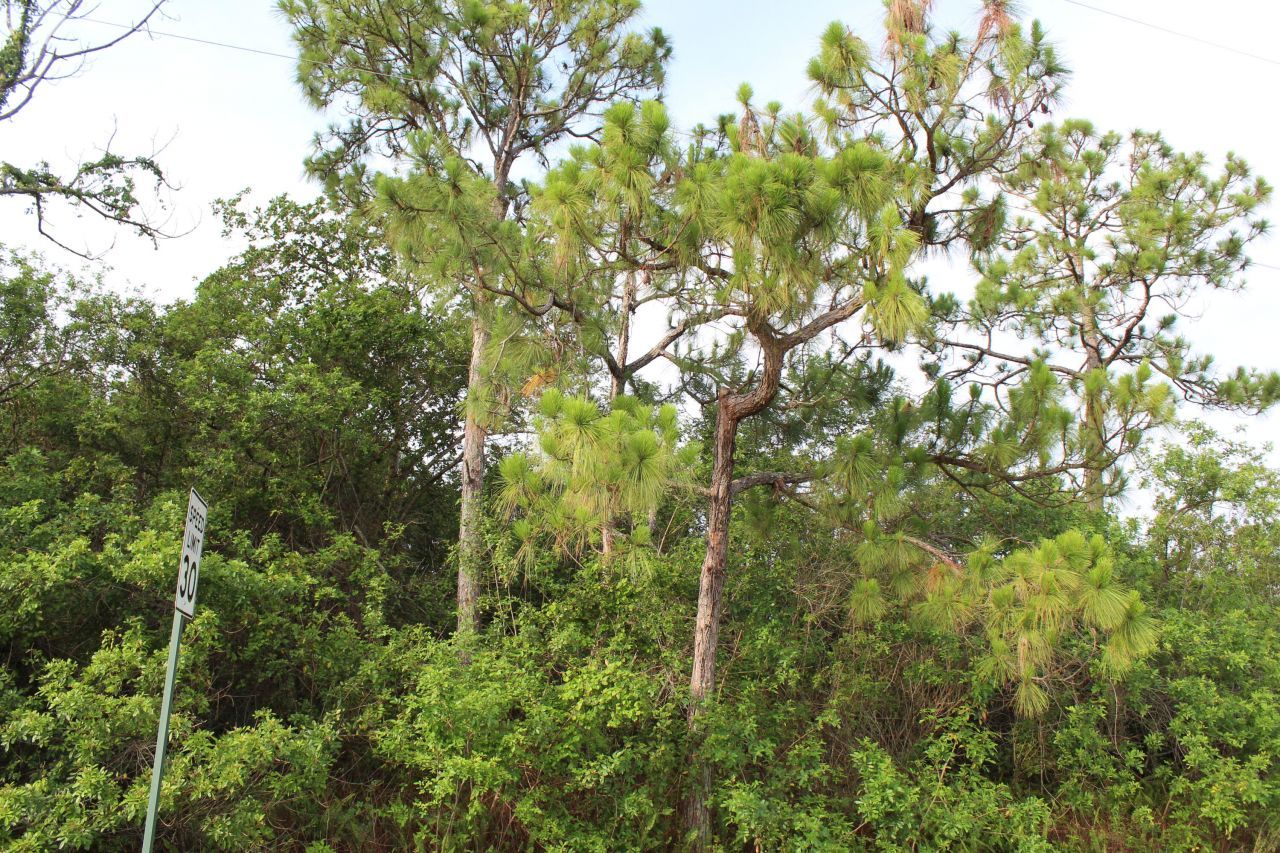 ''17992'' 94th Street N, Loxahatchee, FL 33470 Photo