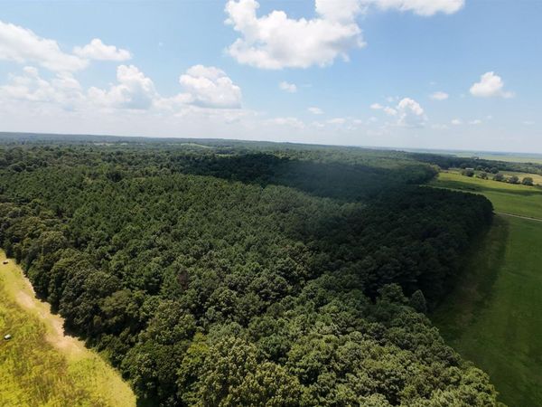 Cr 331 Hwy 62, Pollard, AR 72454