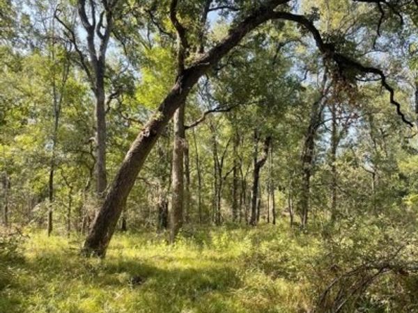 00 TBD 828 LCR 828, Groesbeck, TX 76642