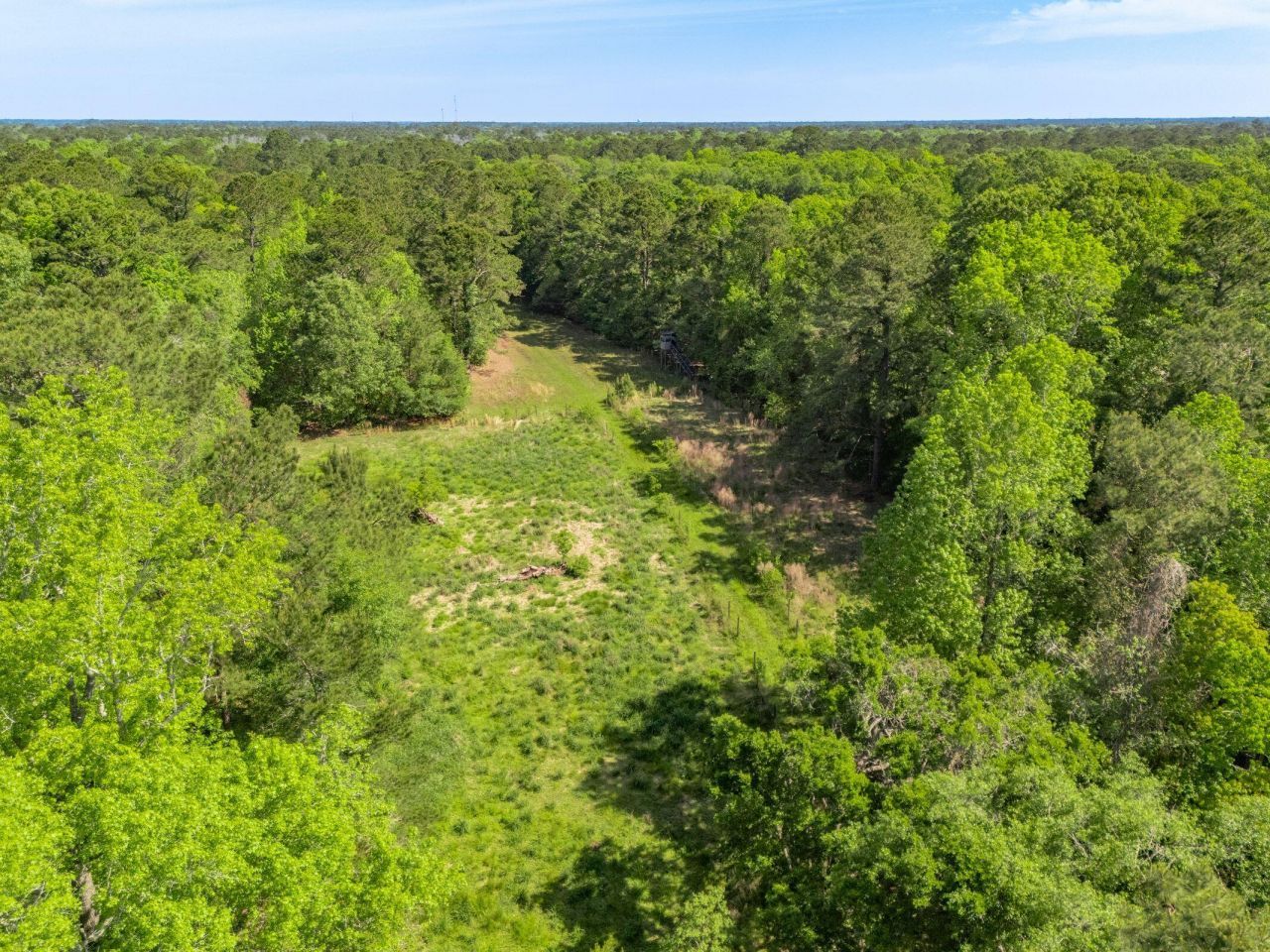 4304 River Road Photo 29