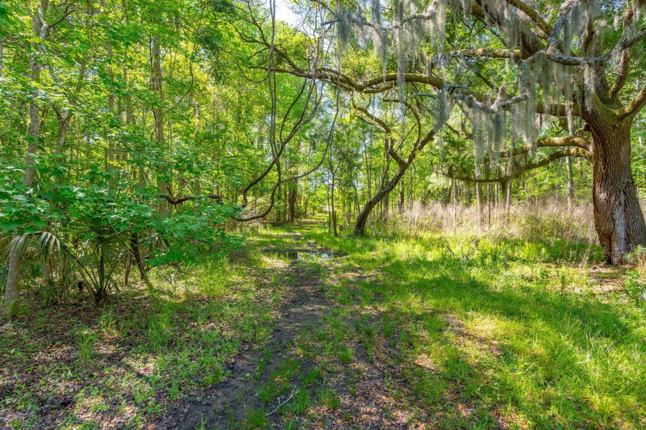 4304 River Road Photo 33