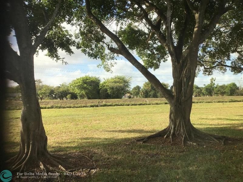 7290 NW 1st Street, Unit 205, Margate, FL 33063 Photo