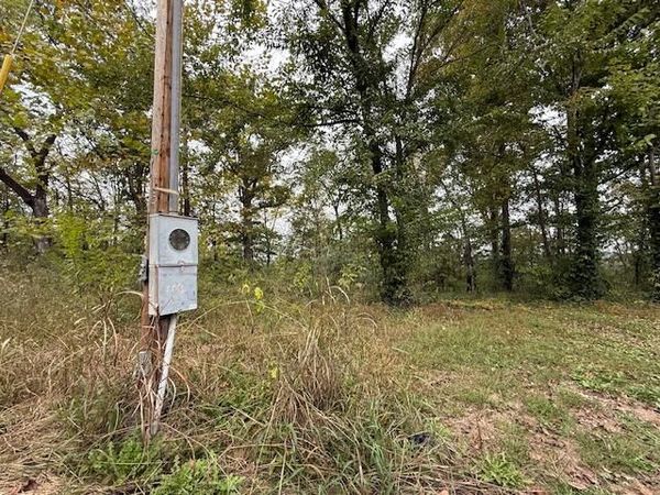 Lot 20 Rabbit Run, Cape Fair, MO 65624