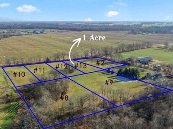 Parcel 13 Kingston Road, Ionia, MI 48846