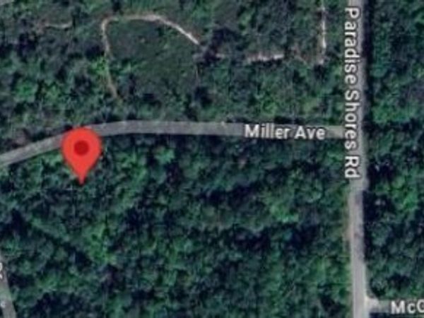 115 MILLER Avenue, Crescent City, FL 32112