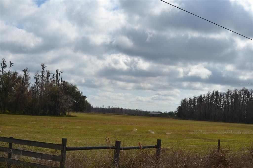 0 Moore Road, Lakeland, FL 33809 Photo