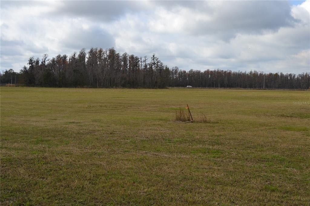 0 Moore Road, Lakeland, FL 33809 Photo