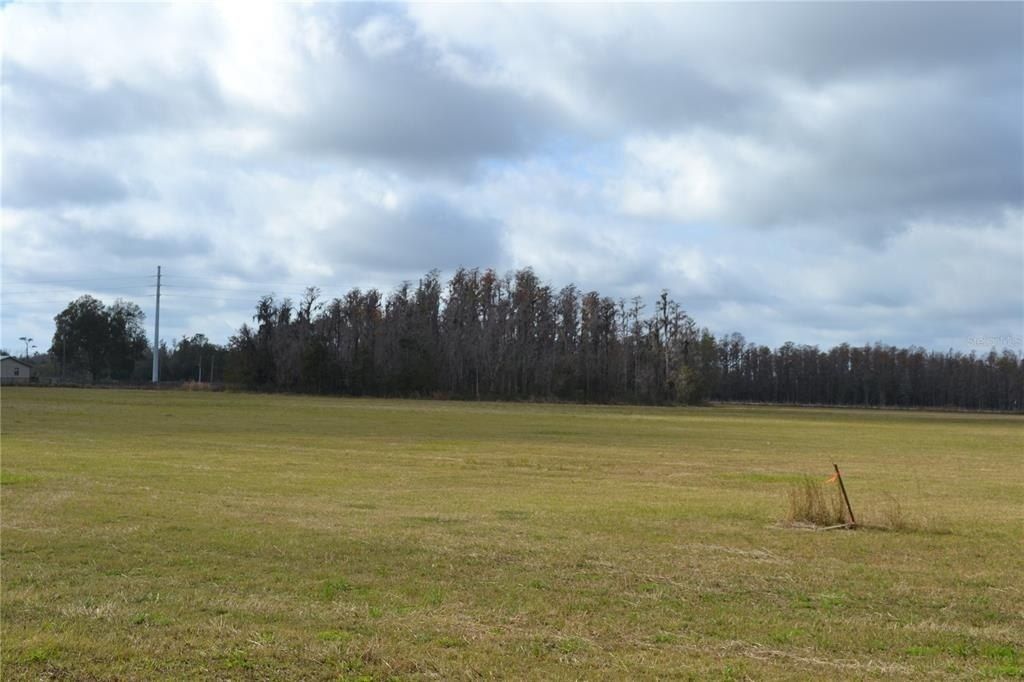 0 Moore Road, Lakeland, FL 33809 Photo