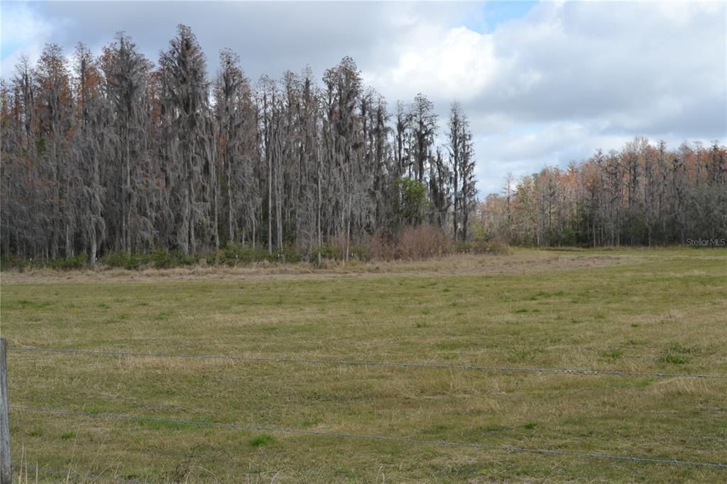 0 Moore Road, Lakeland, FL 33809 Photo