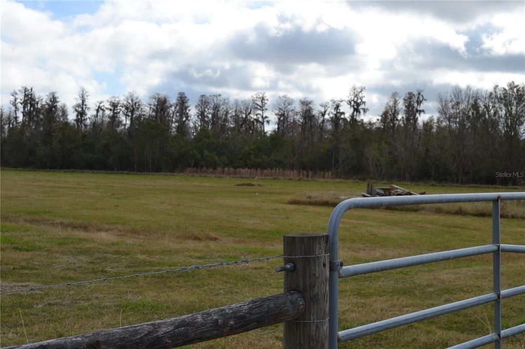 0 Moore Road, Lakeland, FL 33809 Photo