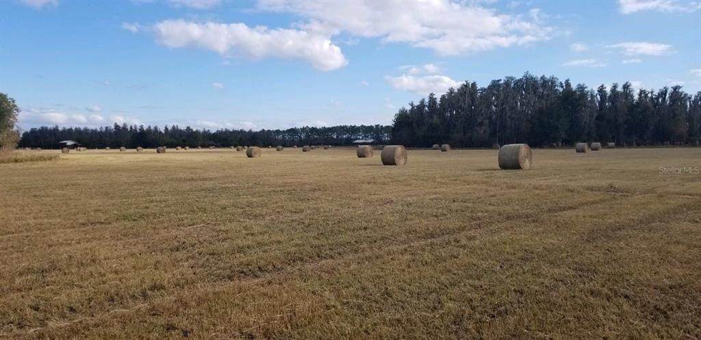 0 Moore Road, Lakeland, FL 33809 Photo