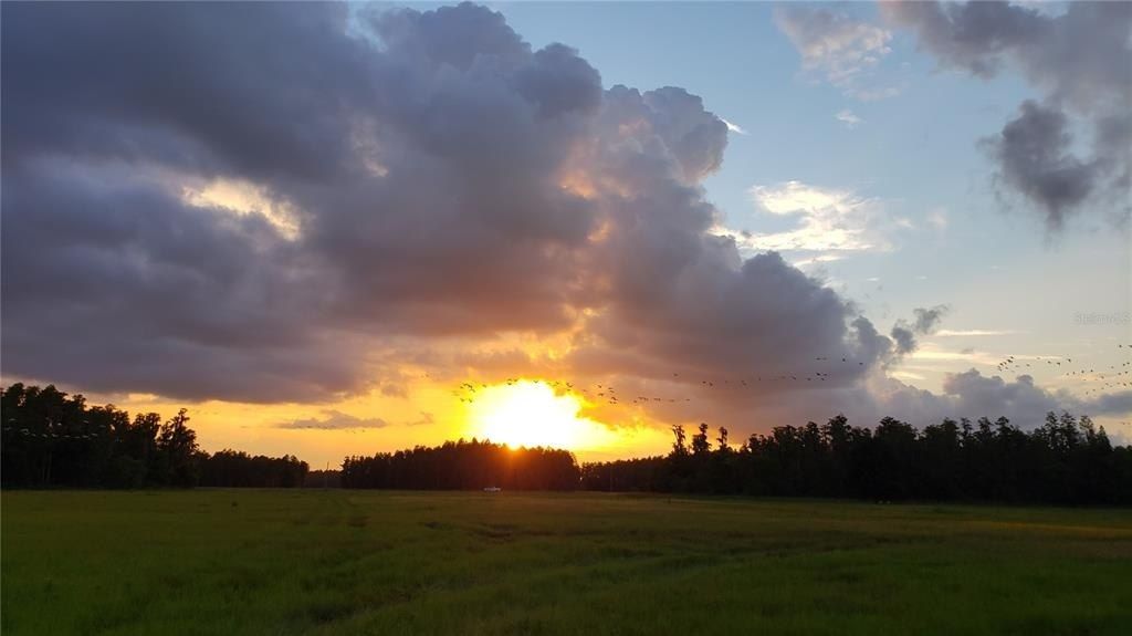 0 Moore Road, Lakeland, FL 33809 Photo